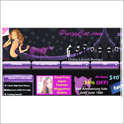 Web Designing