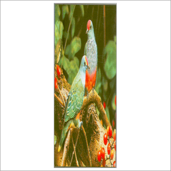 डिजाइनर दरवाजे