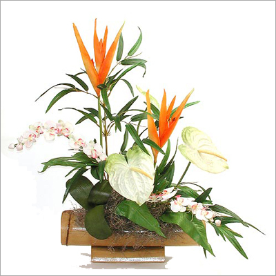 पाराडाइस बर्ड फूलों की सजावट