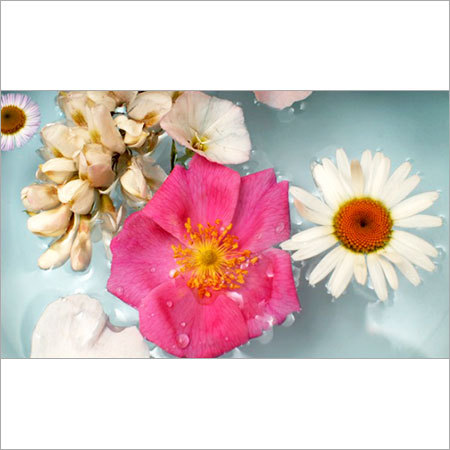 स्पा प्रशिक्षण