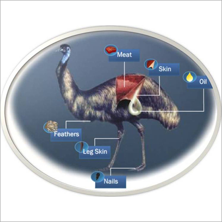 EMU उत्पाद