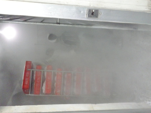 ब्लास्ट फ्रीज़र