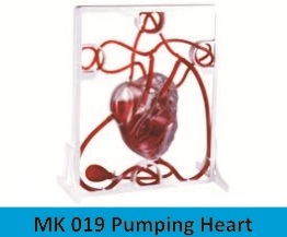 पंपिंग हार्ट