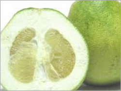 पोमेलो