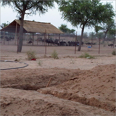 EMU फार्म