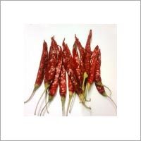 Dry Red Chilli