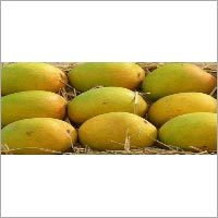 Alphonso Mango