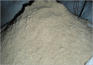 Rice Husk