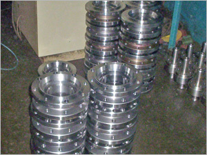 पूंछ का टुकड़ा