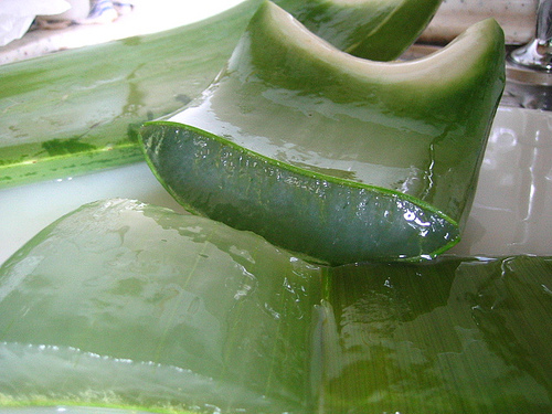 एलोवेरा एक्सट्रैक्ट