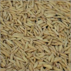 Raw Broken Rice 