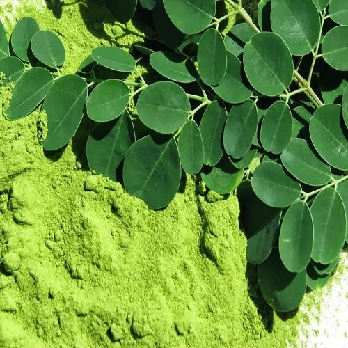 Moringa Leaf Powder - A-Grade Nutrient-Rich Superfood | Calcium, Vitamin B, Ideal for Pregnant Women, Easy to Mix, 2-Year Shelf Life