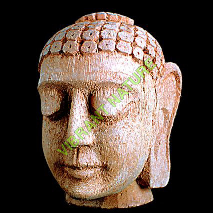 नारियल के छिलके की नक्काशी