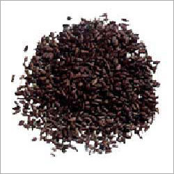 कैसिया टोरा बीज