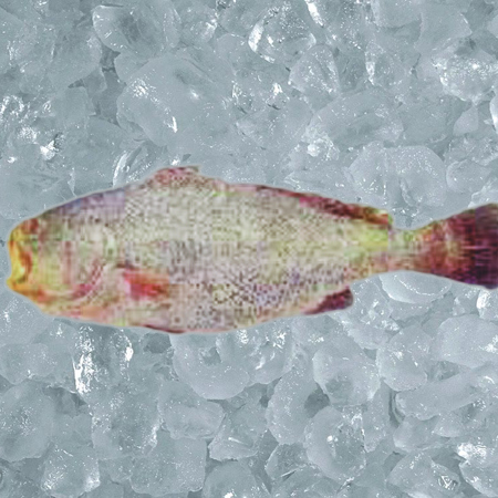 घोल