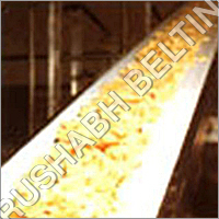 स्वच्छता के लिए खाद्य गुणवत्ता वाला बेल्ट