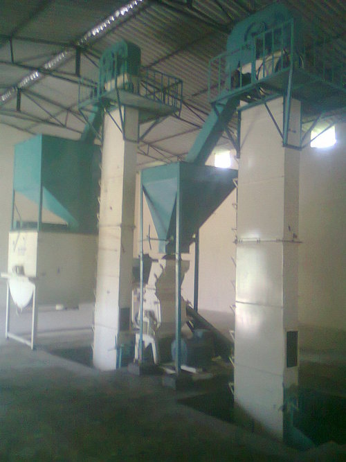 Murgi Dana Plant