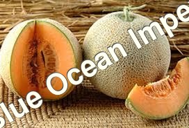 काश्तकार द्वारा उगाई जाने वाली कच्छी खरबूज एक ताजगीभरा फल है, जिसे उसके मीठे स्वाद और सुगंध के लिए जाना जाता है।