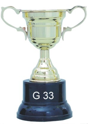 डिज़ाइनर ट्रॉफ़ी