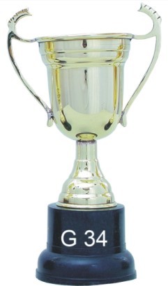 डिज़ाइनर ट्रॉफी