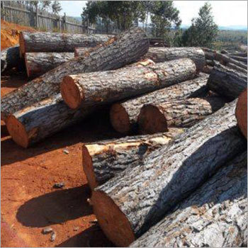 पीन लकड़ी की पट्टियां