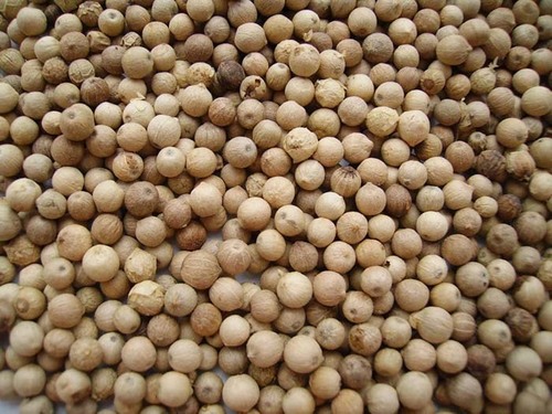 सफेद मिर्च
