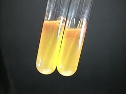 मैनिटोल अनुप्रयोग: औद्योगिक