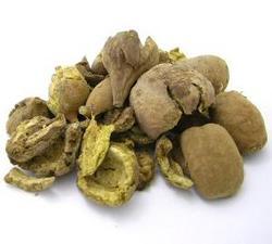 बहेड़ा (Terminalia Bellerica)