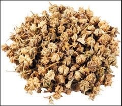 गोखरू (Tribulus Terrestris)