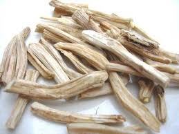 सफेद शतावरी (Asparagus Racemosus) की जड़