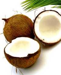 ताजा खोल नारियल