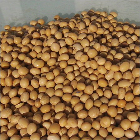 सोयाबीन