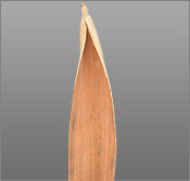 कोको बोट सूखे फूल