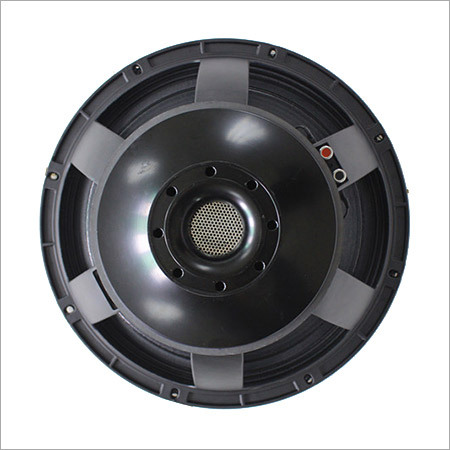 Professional Speaker