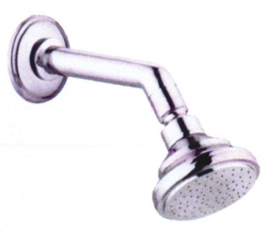 आर्म के साथ पोलो शॉवर