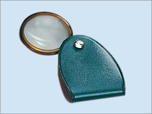 Magnifier Pocket
