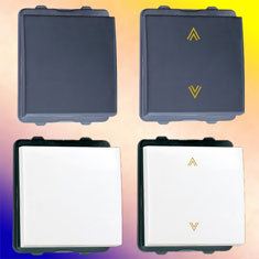 Module Switches