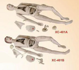 HIGH QUALITY NURSE TRAINING DOLL (MALE & FEMALE) UNISEX - Durable PVC & Rubber, Life-Size Dimensions, Manual Operation, Detachable Anatomy Parts | Unisex Design for Professional Medical & Nurse Training