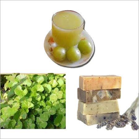 हर्बल अमला जूस