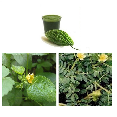 स्वस्थ हर्बल जूस