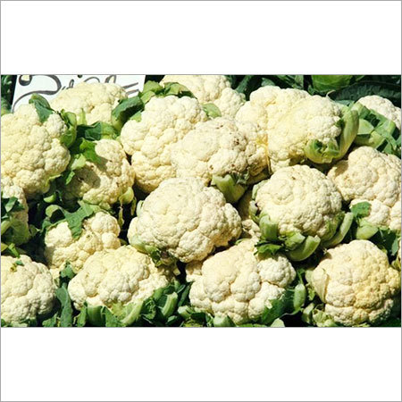 ताज़ी गोभी