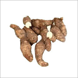 कोलोकेसिया सब्जी