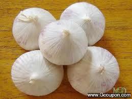 Indian Garlic