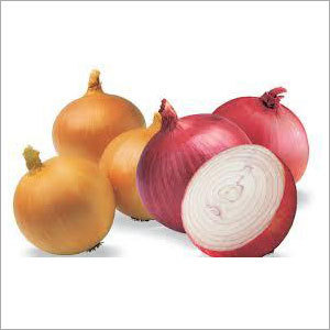 Onion