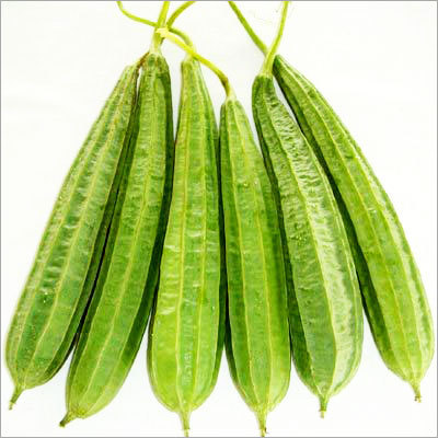 Ridge Gourd