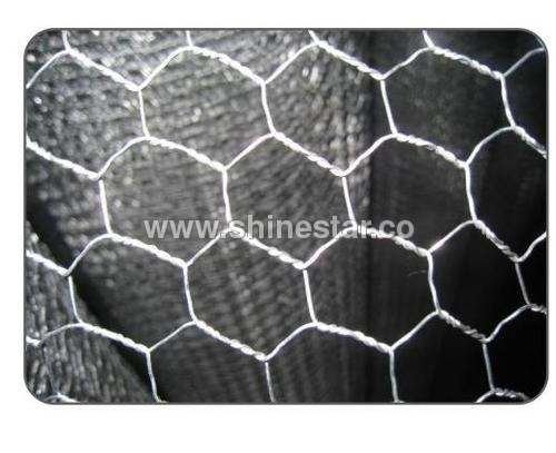 Hexagonal Mesh