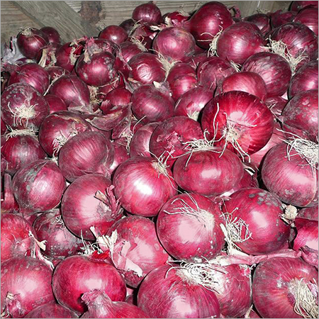 जैविक लाल प्याज