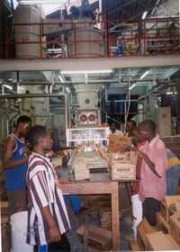 धुलाई साबुन संयंत्र