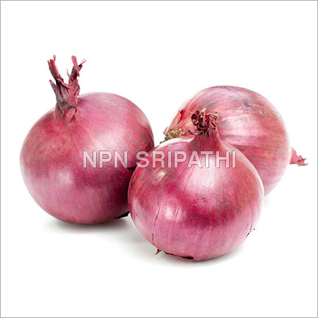 लाल प्याज