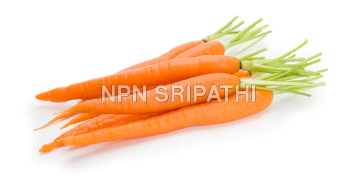 ताज़ी गाजरें